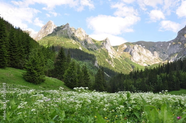 Obraz Polany w Tatrach