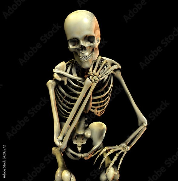 Fototapeta bone pose 20