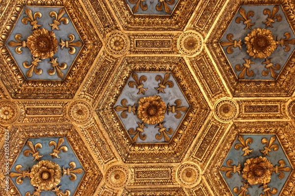 Fototapeta Fragment renesansu rzeźbionego sufitu w Sala Dei Gigli w Palazzo Vecchio, Florence, Toskania, Włochy.