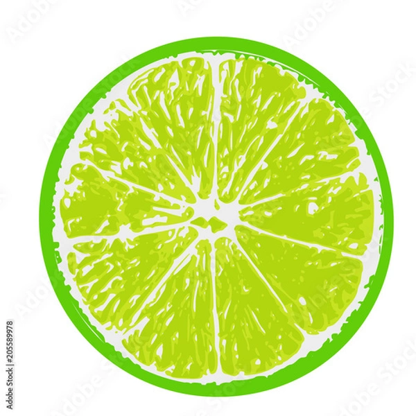 Obraz green lime fruit, cut in half