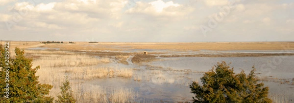 Obraz panoramic view of marsh
