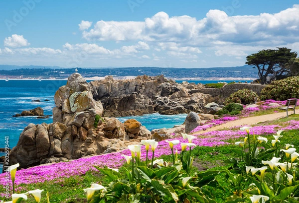 Fototapeta Kalifornijska plaża