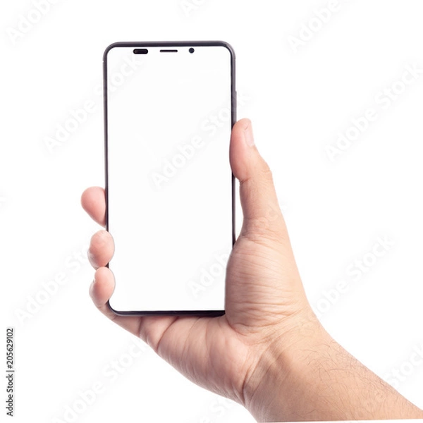 Obraz Male hand holding smartphone