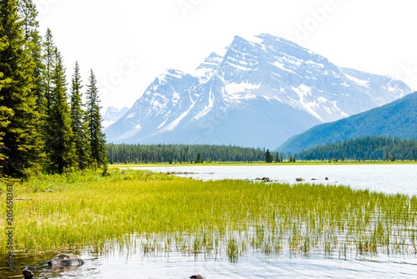 Fototapeta 春のカナディアン・ロッキー　バンフ国立公園　下水鳥湖（ロアー・ウォーターファウル・レイク）（カナダ）
