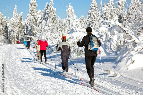 Obraz Narciarstwo biegowe 4593