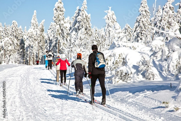 Obraz Narciarstwo biegowe 4594