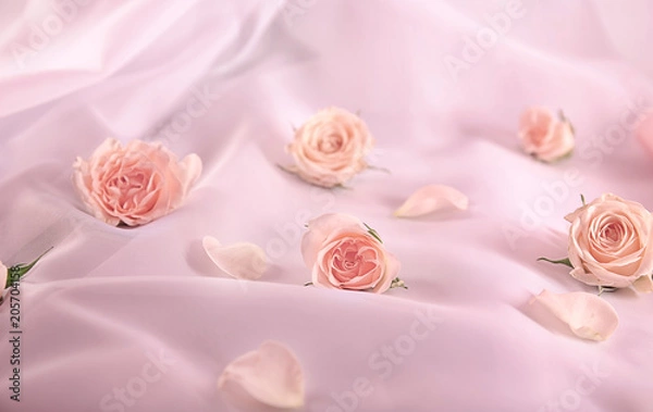 Fototapeta Composition with beautiful roses on color fabric