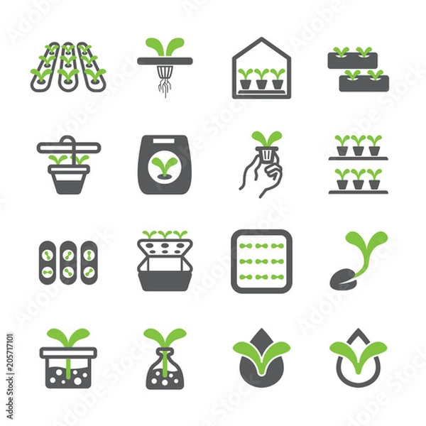Fototapeta Hydroponic icon set