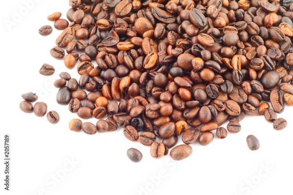 Fototapeta spilled coffee beans on white