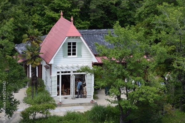 Obraz 森の中の家