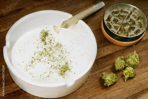 Fototapeta Ground weed in the shape of Philippines with a joint. (series)
