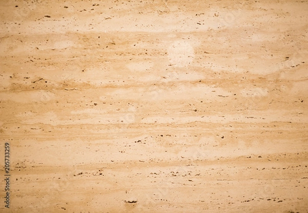 Obraz wood texture with natural pattern