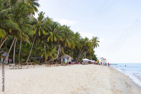 Obraz Coconut tree at coconut beach on Son island, Kien Giang, Vietnam. Near Phu Quoc island