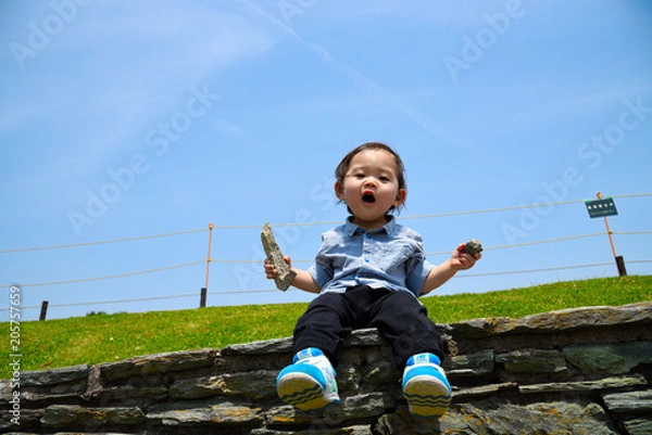 Obraz おーい！こっち見て