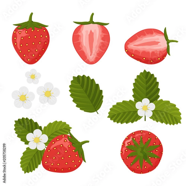 Fototapeta Set of colorful strawberry icons on a white background