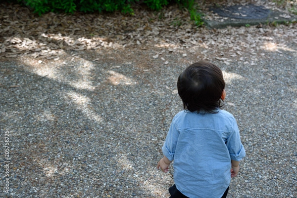 Obraz ぼくの後姿