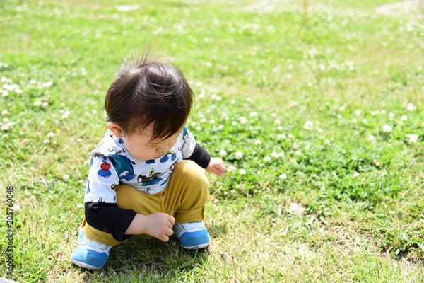 Obraz 野原とぼく