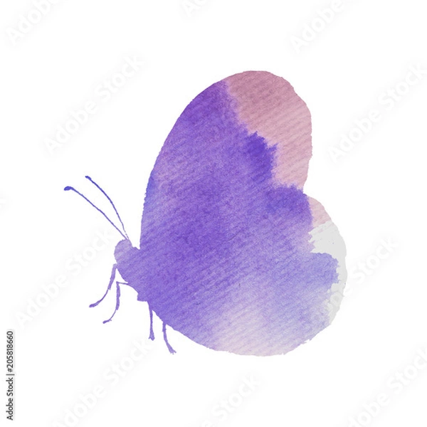 Fototapeta Butterfly, watercolor, silhouette. It is executed by a water color. Nature, for background, texture, wrapper, border or border.