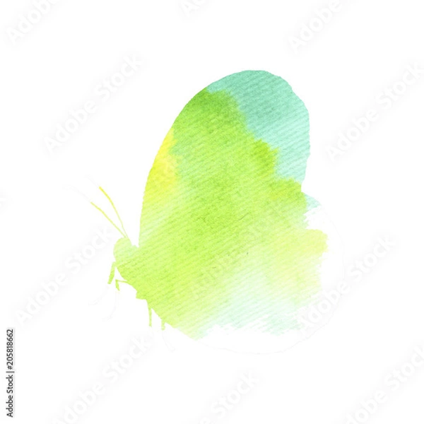 Obraz Butterfly, watercolor, silhouette. It is executed by a water color. Nature, for background, texture, wrapper, border or border.
