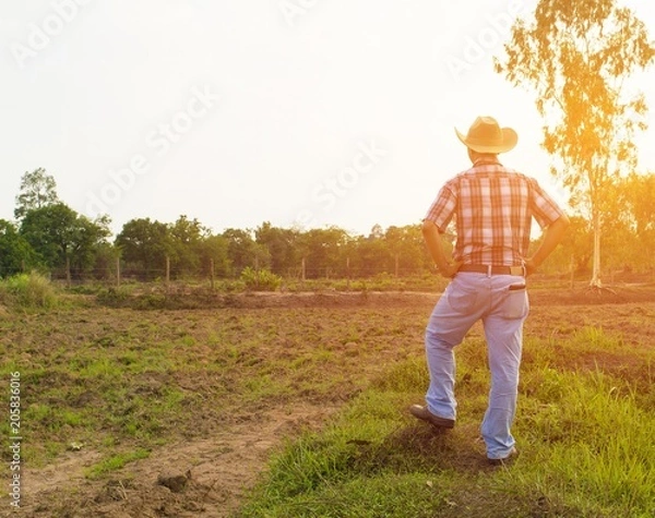 Fototapeta The new thai farmer looks at his farm./Thai young farmers stand looking at their vines, lacking water, natural backdrop, and fill with orange light for aesthetics.