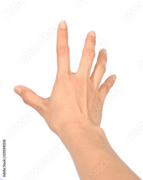 Fototapeta hand women grab posting isolate on white background