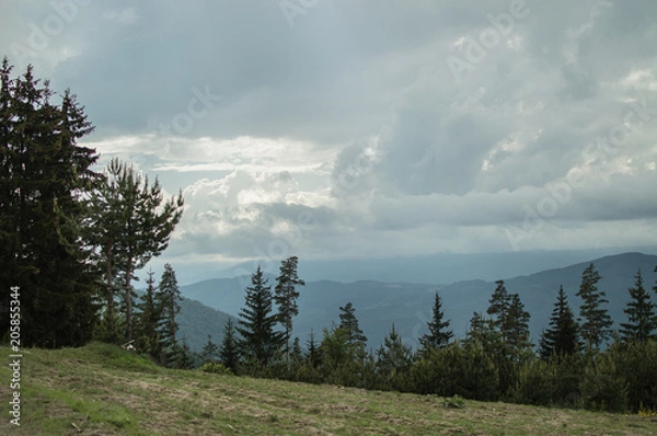 Obraz Spring landscape