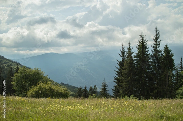Obraz Spring landscape