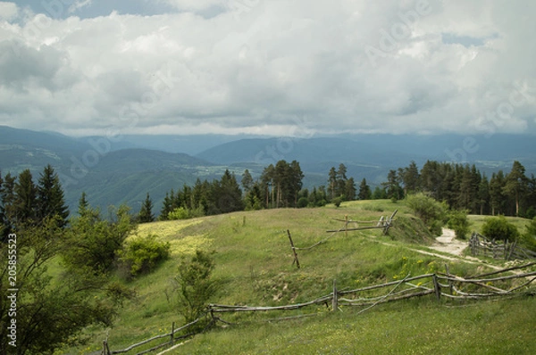 Obraz Green spring landscape