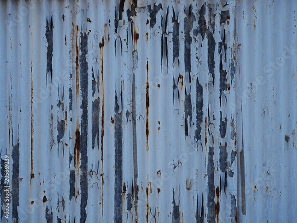 Obraz 波板の古い壁