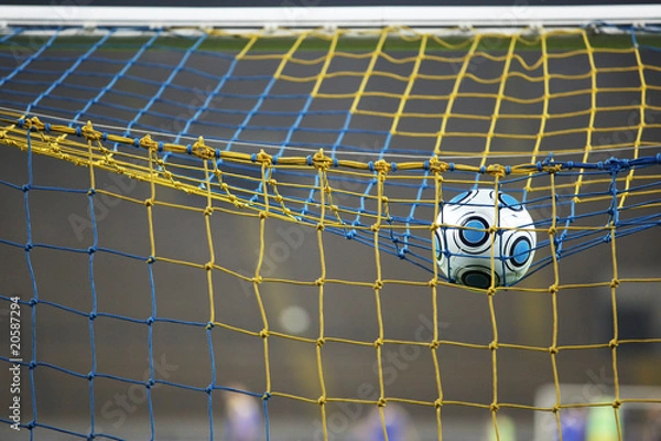 Fototapeta A soccer ball scores