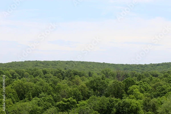 Fototapeta A wonderful view