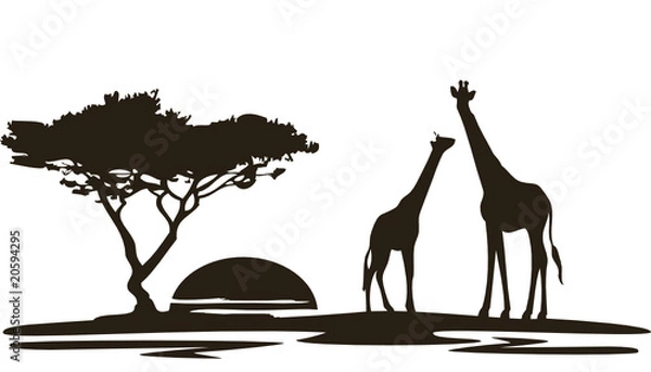 Fototapeta Żyrafa2010Afrika