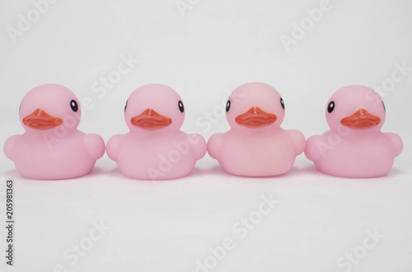 Obraz Four pink rubber ducks as viewed from the front on an isolated white background