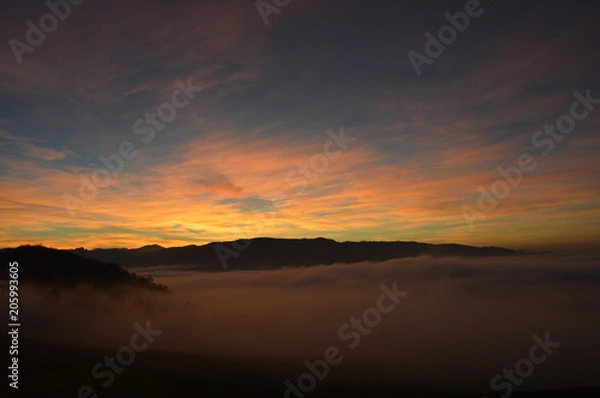 Obraz tramonti e natura
