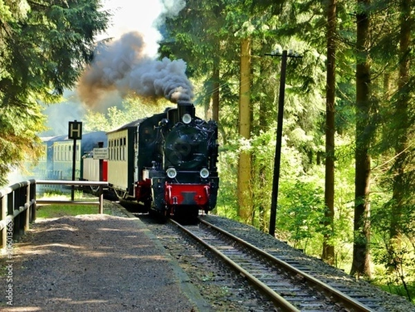Fototapeta kolejka dolinna Pressnitz