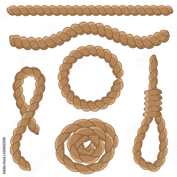 Fototapeta Abstract rope elements. Vector illustration.