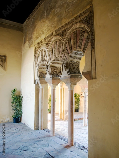 Obraz < Arcos de la Alcazaba de Malaga>
