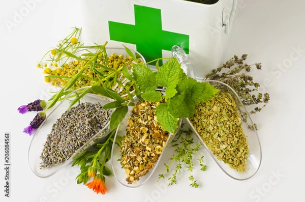 Obraz Alternative Medicine. Herbal Therapy.