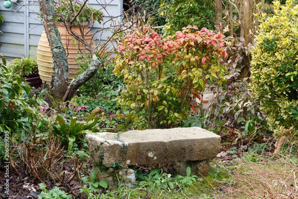 Fototapeta Banc en pierre dans jardin paysager