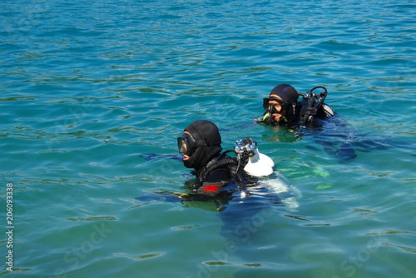 Obraz Scuba diver before diving.