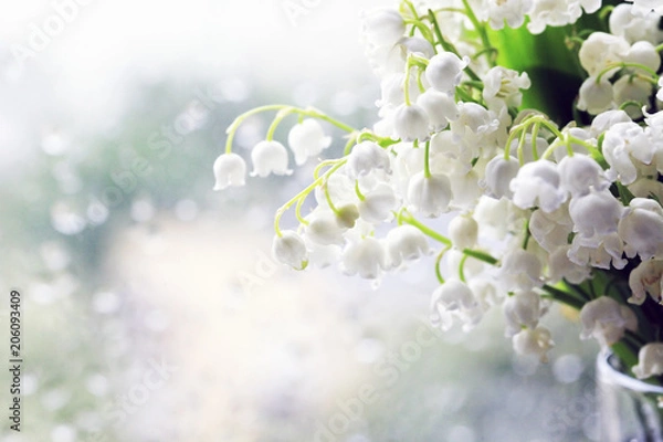 Obraz Bukiet konwalii