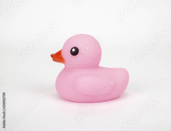 Obraz A pink rubber duck on an isolated white background with room for text and more