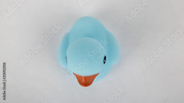 Obraz A blue rubber duck on an isolated white background 