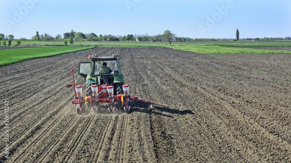 Fototapeta Tractor sows corn