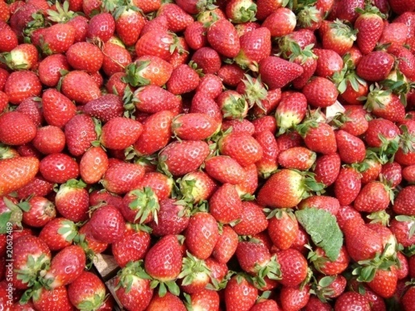 Fototapeta Strawberry