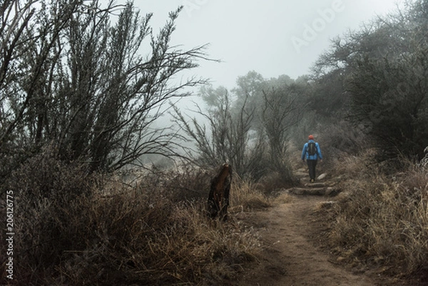 Fototapeta A man walking on a misty desert trail in New Mexico. 