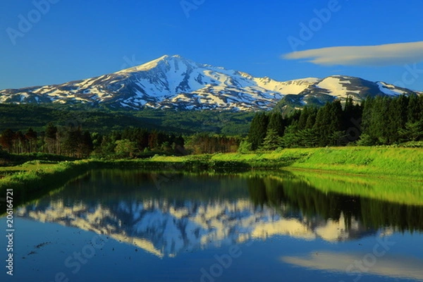Fototapeta 新緑の鳥海山
