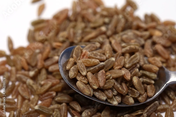 Fototapeta Grünkern isoliert