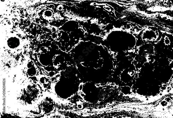 Fototapeta Black and white liquid texture. Hand drawn marbling illustration. Abstract vector background. Monochrome marble pattern.