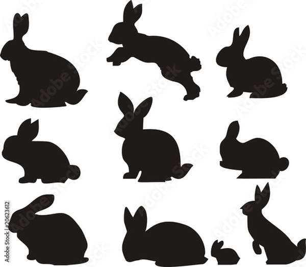 Obraz rabbit silhuotte